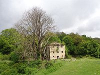 2026-05-11 Traversata dei Lucretili 141